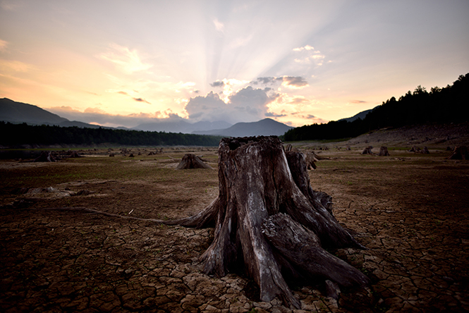 Nikkor-20mm-samples-5