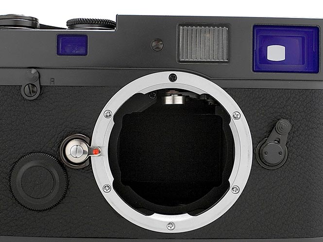 Leica-MP-BLUE-STAIN-002